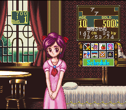 Princess Maker - Legend of Another World Screenshot 1